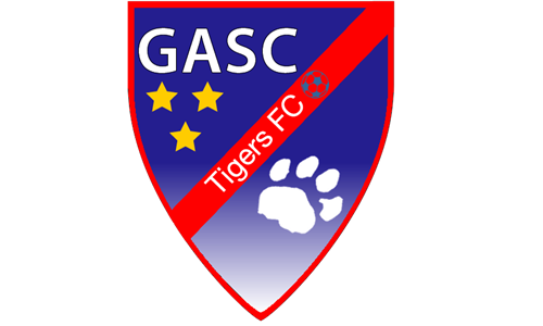 New TigersFC Logo