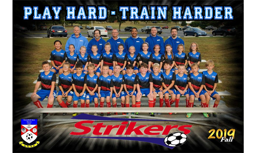 Strikers 2019